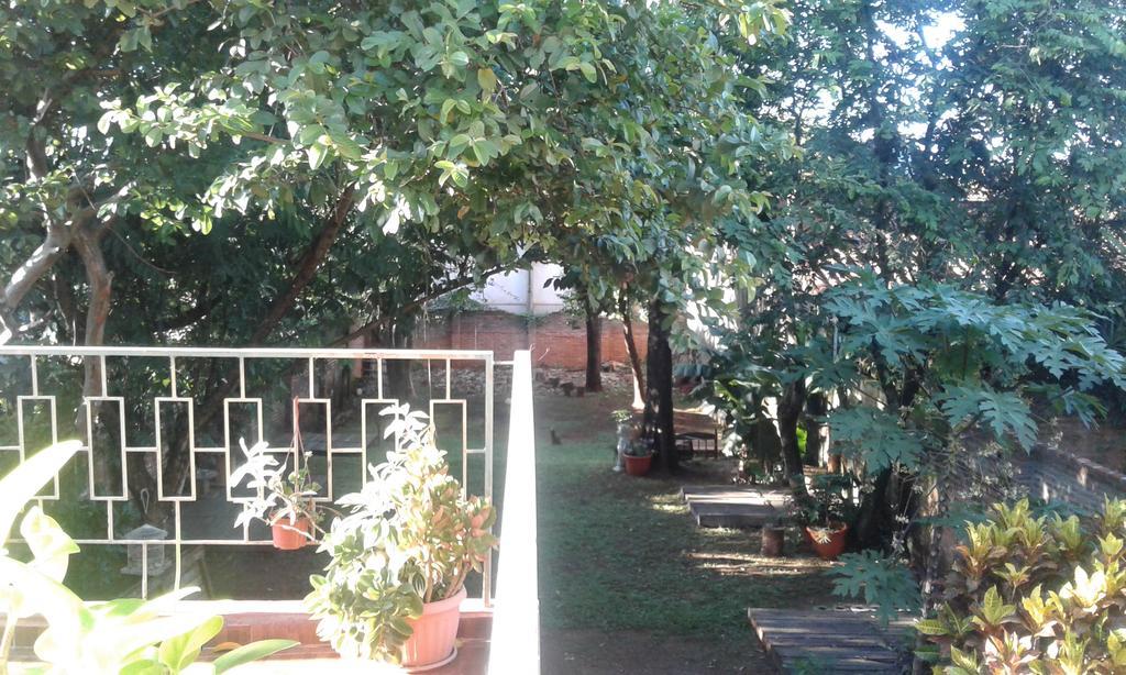 La Casa De Pedro Hostel إنكارناسيون المظهر الخارجي الصورة