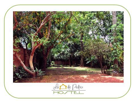 La Casa De Pedro Hostel إنكارناسيون المظهر الخارجي الصورة